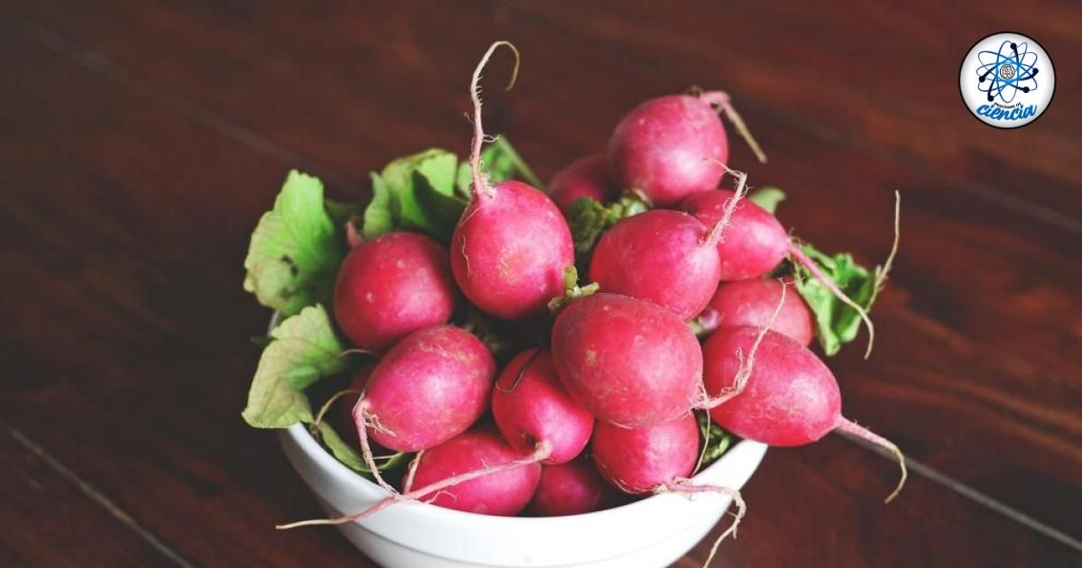 Desinfecta tus rábanos correctamente para un pozole perfecto