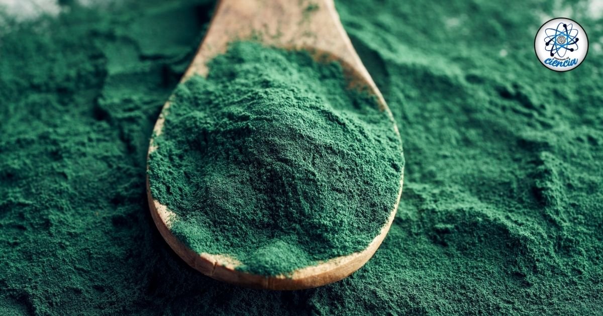 noticiaspuertosantacruz.com.ar - Imagen extraida de: https://ensedeciencia.com/2024/09/28/no-todos-deben-consumir-espirulina-y-la-ciencia-explica-quienes-y-por-que-razon/