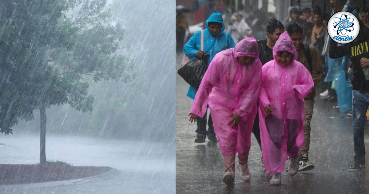 noticiaspuertosantacruz.com.ar - Imagen extraida de: https://ensedeciencia.com/2024/09/13/el-ciclon-ileana-se-debilita-pero-seguira-ocasionando-lluvias-torrenciales-por-la-tarde-en-estos-estados/