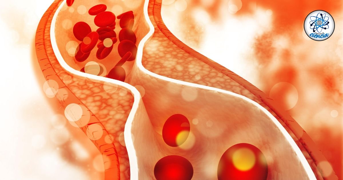 Mide y controla tu colesterol: Guía experta para un corazón saludable