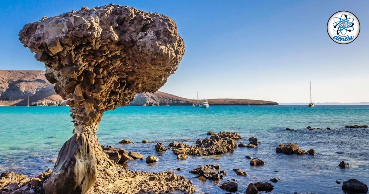 noticiaspuertosantacruz.com.ar - Imagen extraida de: https://ensedeciencia.com/2024/09/01/megaproyecto-turistico-pone-en-riesgo-a-balandra-la-playa-mas-hermosa-de-mexico/