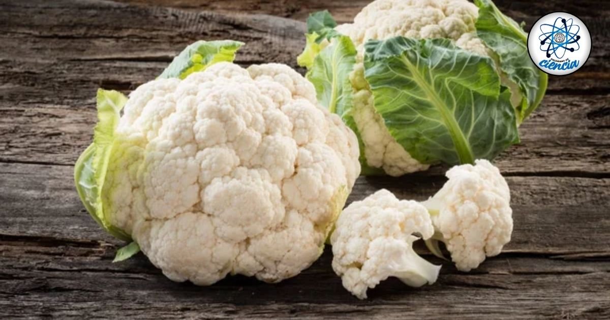 Cocina la coliflor correctamente para aprovechar sus beneficios nutricionales