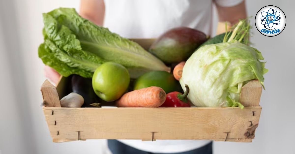 Descubre la berenjena: el fruto desintoxicante que regula la glucosa en sangre