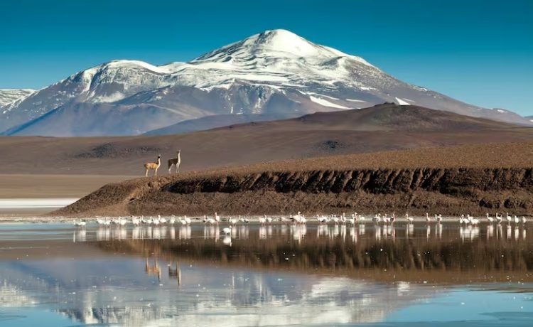 noticiaspuertosantacruz.com.ar - Imagen extraida de: https://mineriaydesarrollo.com/2024/09/18/la-rioja-comenzara-a-explorar-dentro-de-una-reserva-natural-protegida/