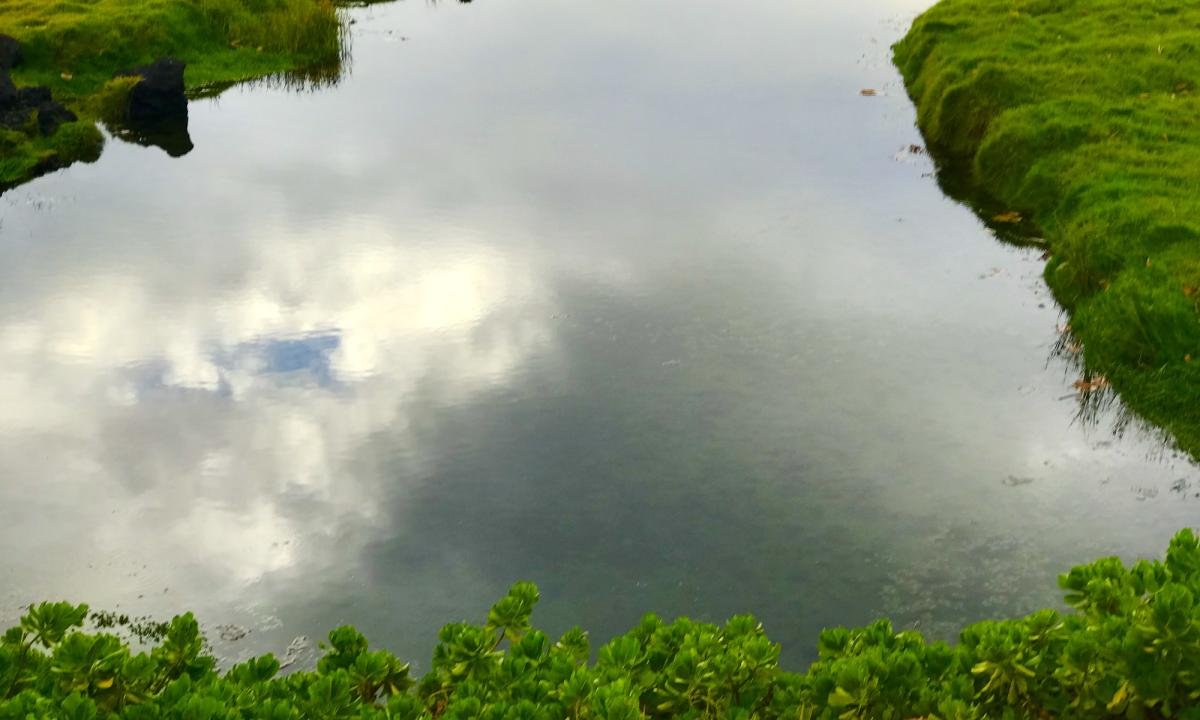 noticiaspuertosantacruz.com.ar - Imagen extraida de: https://www.huffingtonpost.es//life/descubren-gran-reserva-agua-dulce-atrapada-corteza-terrestre-seis-millonesnos.html