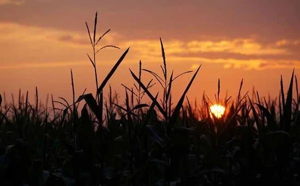 noticiaspuertosantacruz.com.ar - Imagen extraida de: https://news.agrofy.com.ar/noticia/210784/clima-campo-que-se-espera-proximos-dias-y-cuando-podrian-volver-lluvias