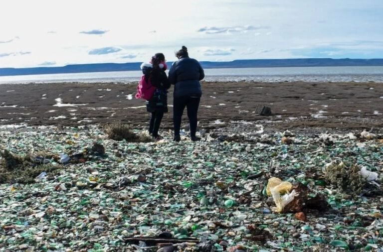 noticiaspuertosantacruz.com.ar - Imagen extraida de: https://elrompehielos.com.ar/turismo-vecinos-y-vecinas-visitaron-la-playa-de-vidrio-de-rio-gallegos