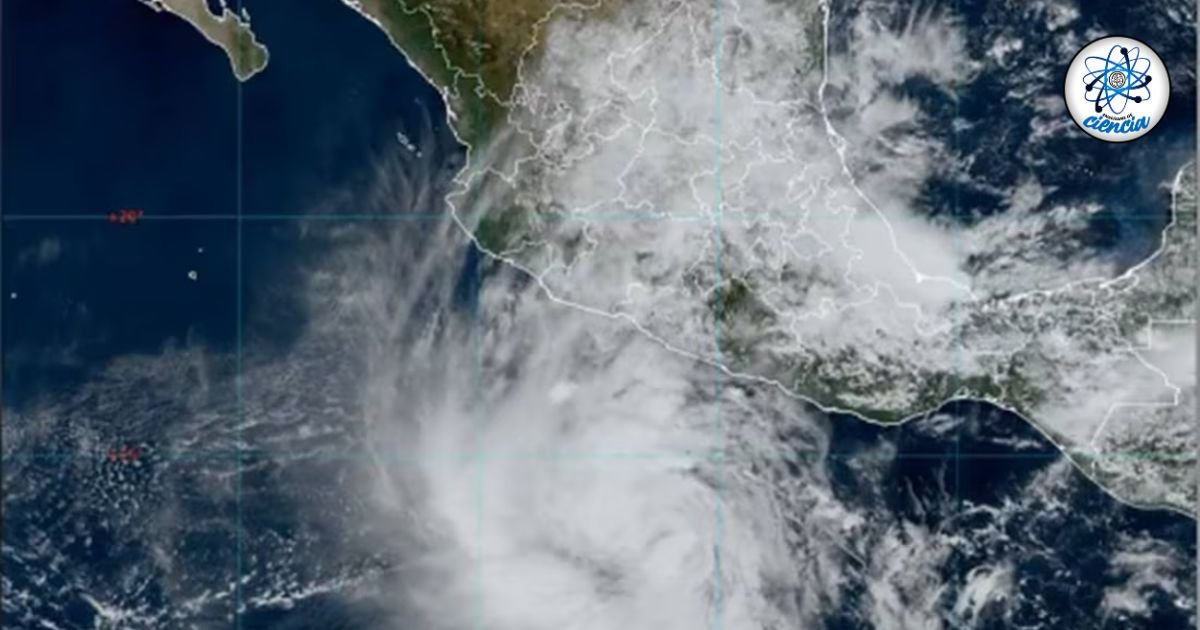 noticiaspuertosantacruz.com.ar - Imagen extraida de: https://ensedeciencia.com/2024/10/22/kristy-se-convierte-en-huracan-de-categoria-1-se-esperan-fuertes-lluvias-y-vientos-cerca-de-estos-estados/