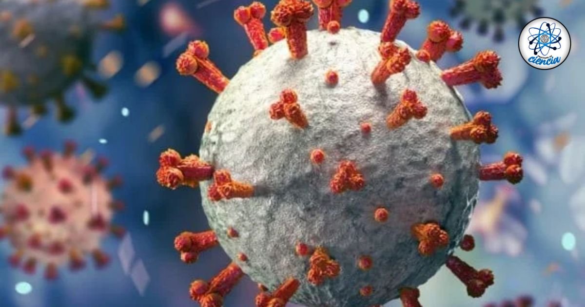 Alerta máxima: Virus de Marburgo, letalidad del 88% y altamente contagioso