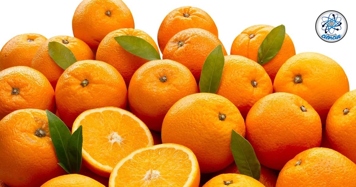 Beneficios ocultos de la naranja: la cáscara rejuvenecedora