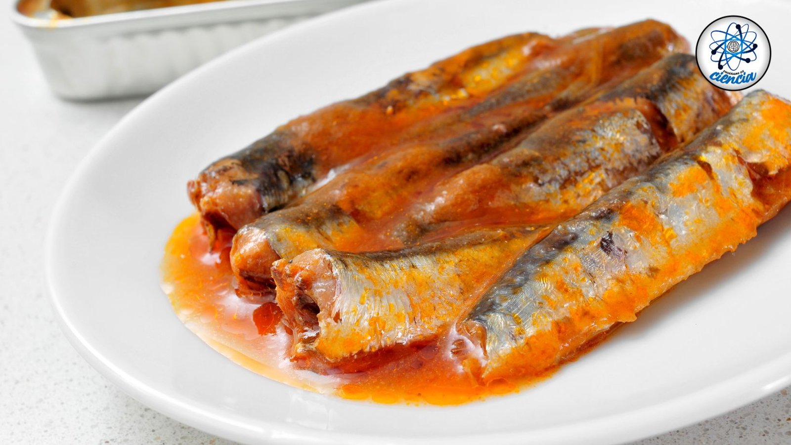 Sardinas en lata: Beneficios, riesgos y recomendaciones científicas