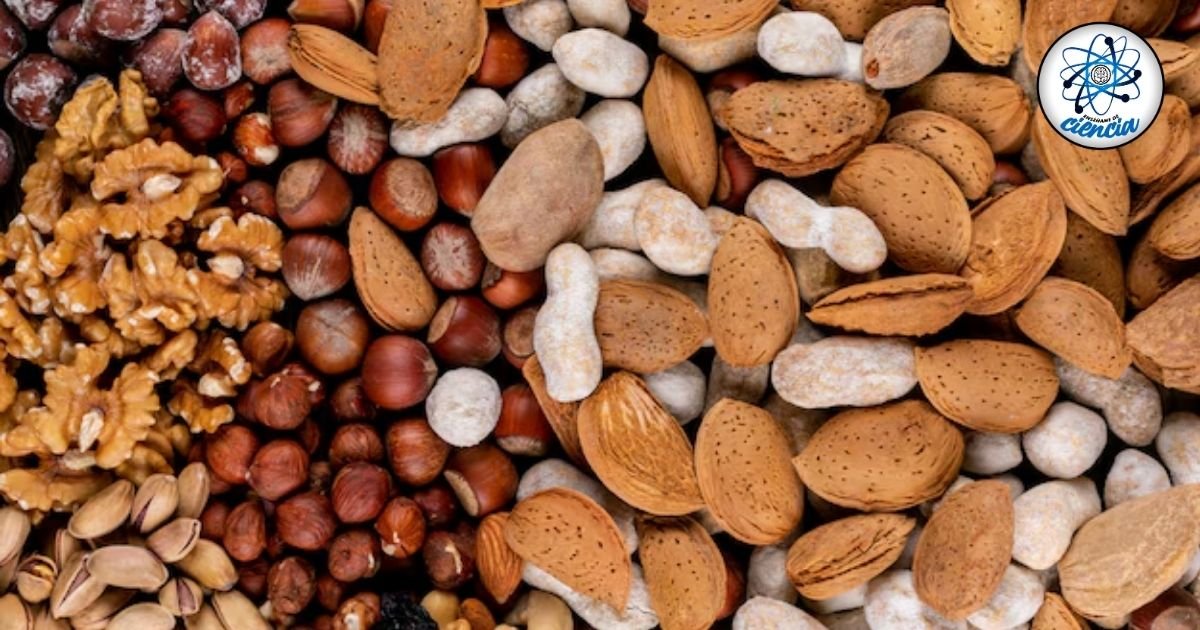 Cacahuates: el fruto seco rico en proteínas que cuida tu corazón