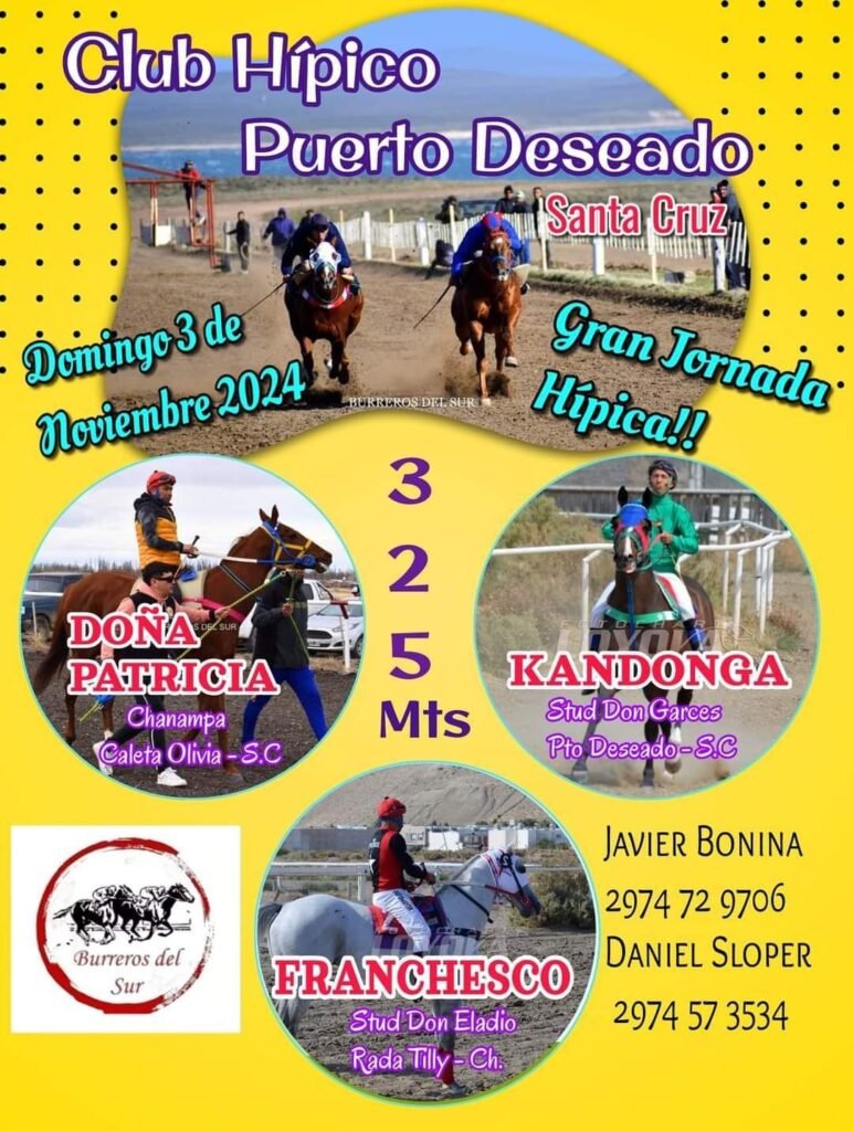 noticiaspuertosantacruz.com.ar - Imagen extraida de: https://deseadonoticias.com/2024/10/22/ocho-carreras-confirmadas-para-la-vuelta-del-turf-a-puerto-deseado/