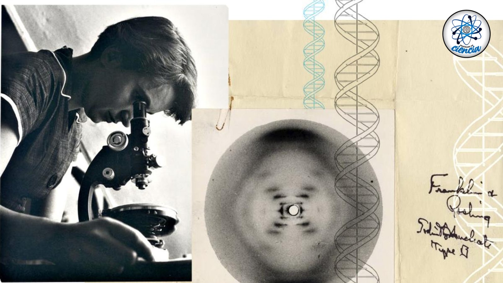 Fotografía 51: El secreto revelado del ADN, la historia de Rosalind Franklin