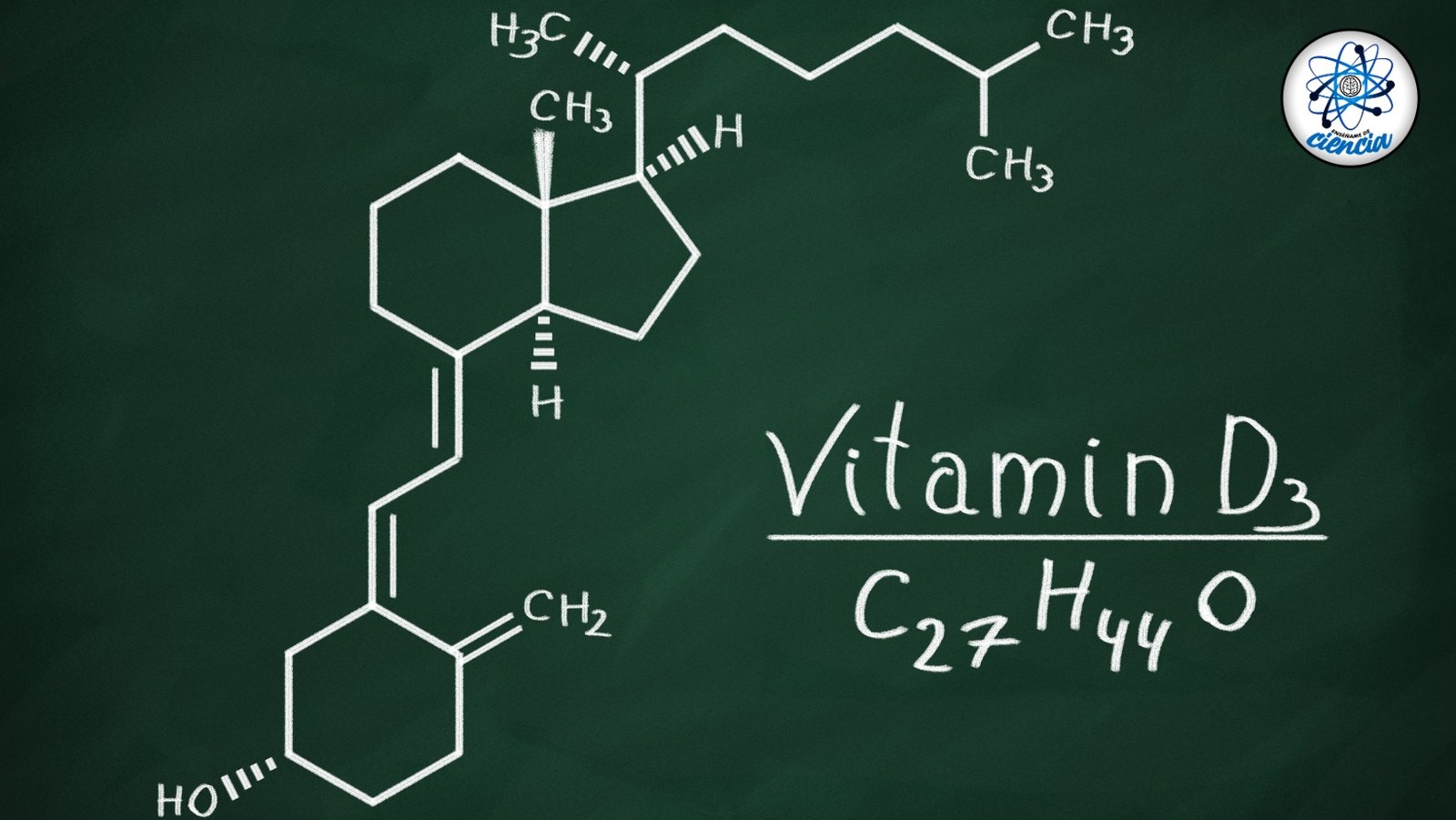 noticiaspuertosantacruz.com.ar - Imagen extraida de: https://ensedeciencia.com/2024/10/08/vitamina-d3-que-es-beneficios-para-tu-cuerpo-y-cuando-debes-tomarla/