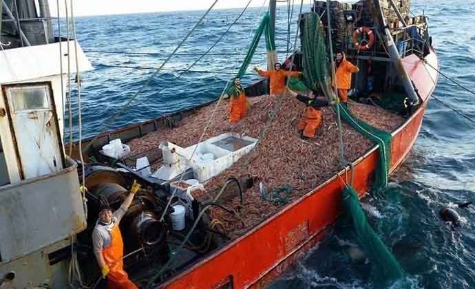 Langostino en Chubut: Tensión entre armadores y marineros por convocatoria laboral