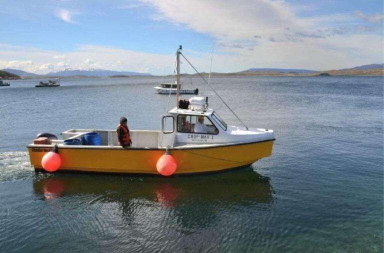 noticiaspuertosantacruz.com.ar - Imagen extraida de: https://elrompehielos.com.ar/gobierno-de-tierra-del-fuego-acompano-la-inauguracion-de-la-cooperativa-pesquera-en-puerto-almanza