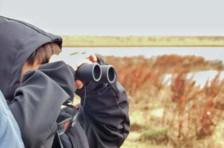 noticiaspuertosantacruz.com.ar - Imagen extraida de: https://elrompehielos.com.ar/festival-de-aves-escuelas-recorren-los-espacios-naturales-de-la-ciudad