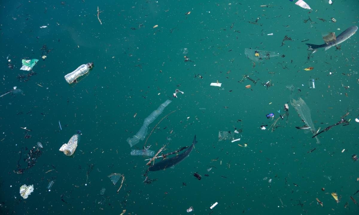 noticiaspuertosantacruz.com.ar - Imagen extraida de: https://www.huffingtonpost.es//life/salud/la-advertencia-cientificos-ultimo-estudio-sobre-microplasticos-podria-duplicarse.html