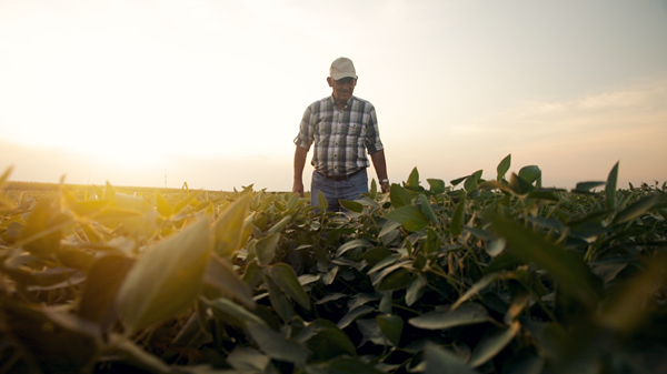 noticiaspuertosantacruz.com.ar - Imagen extraida de: https://news.agrofy.com.ar/noticia/211097/agro-busca-protegerse-productores-no-solo-se-cubren-granizo-y-viento-sino-que-suman