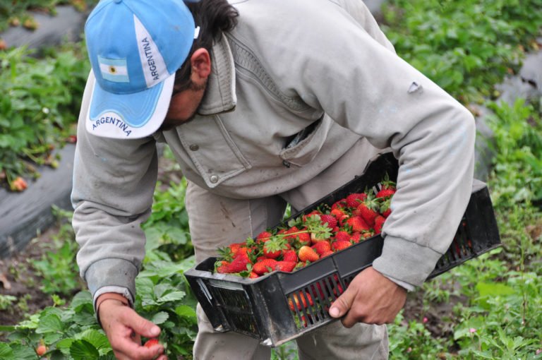 noticiaspuertosantacruz.com.ar - Imagen extraida de: https://news.agrofy.com.ar/noticia/211110/cae-20-participacion-productor-precio-alimentos