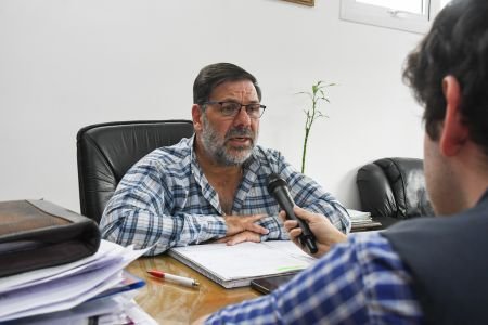 La plaga de tucura sapo: un grave problema para la ganadería y la agricultura patagónica