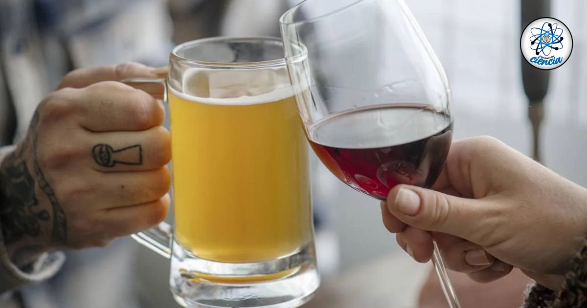 Vino tinto vs Cerveza: La bebida más saludable según Harvard