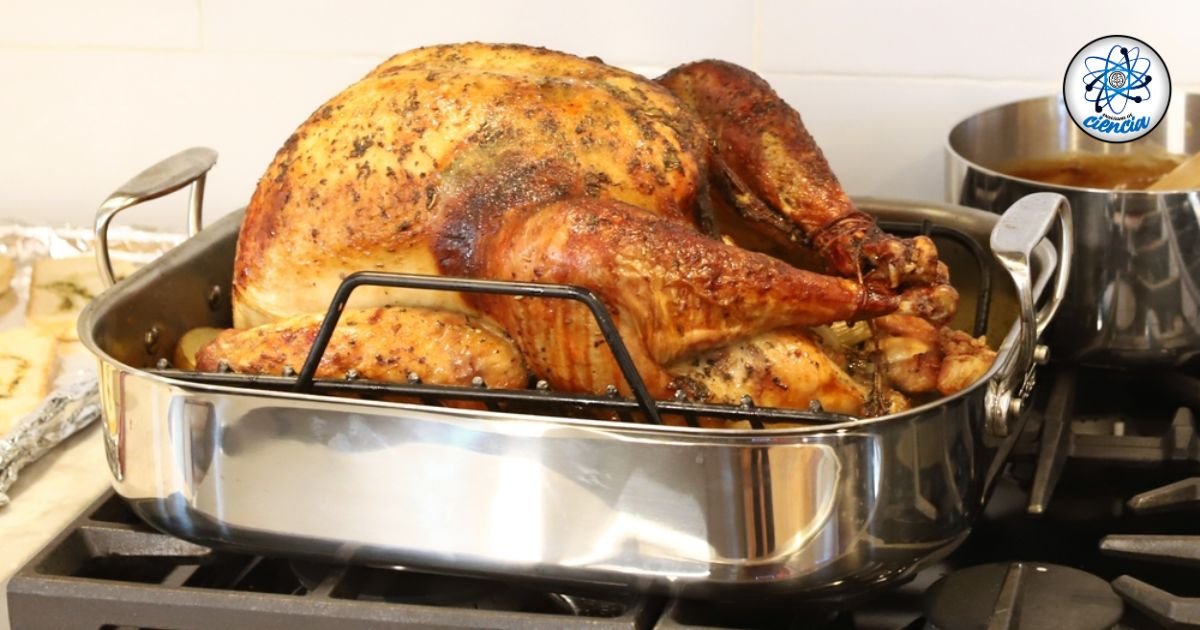 Beneficios del pavo: saludable, nutritivo y seguro para recalentar