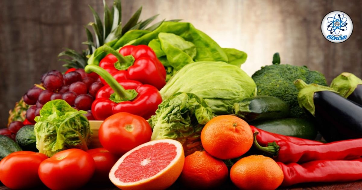 Verduras Ricas en Colágeno para Regenerar Cartílago de Rodillas