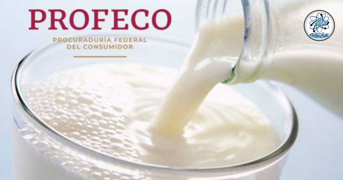 ¡Alerta! Profeco revela 4 marcas de leche que debes evitar