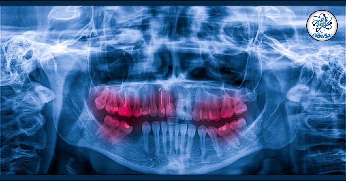 Revolución en odontología: Científicos abren camino a la regeneración dental en adultos