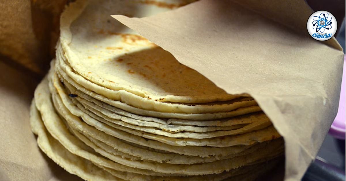 ¿Cuántas tortillas diarias son seguras para tu salud?