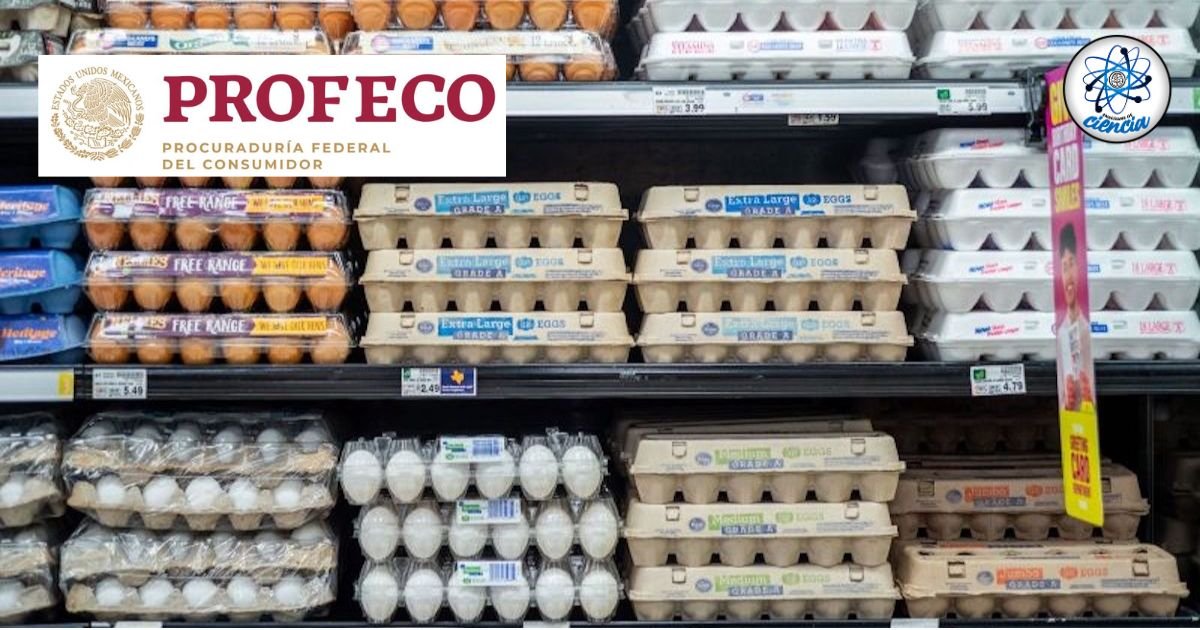 Las mejores marcas de huevos económicas y de calidad, según Profeco